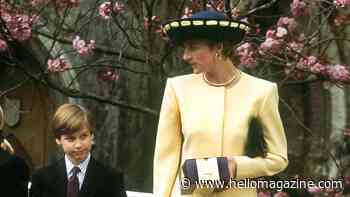 Why Princess Diana used to say she and Prince William 'didn't get on'