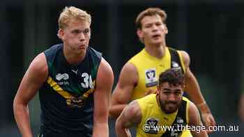 These are the players Dons and Tigers will be eyeing first in the draft