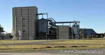 'Disastrous mess': uncertainty for hundreds of workers as mills cut production