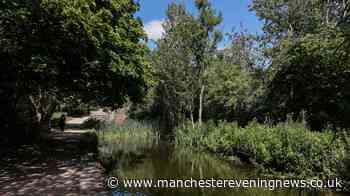The overlooked Greater Manchester park with magical woodland, tranquil lake and picnic spots