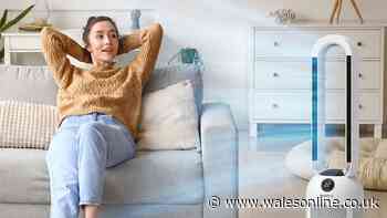 Bladeless fan with 12-hour timer ideal for hot sleepers and cheaper than Amazon
