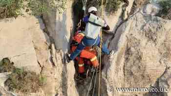 Tourist pulls off extraordinary escape after plunging 180ft down cliff face