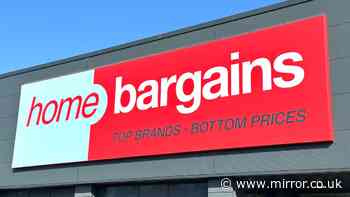 'Brighten up' your summer garden with Home Bargains 'cheerful' £1.29 set