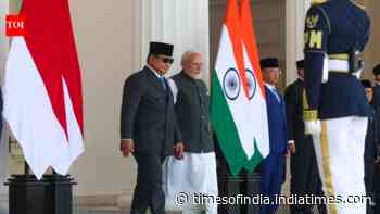 IIM campus, UPI, AI &amp; more: PM Modi heralds 'golden chapter' of India, Indonesia ties
