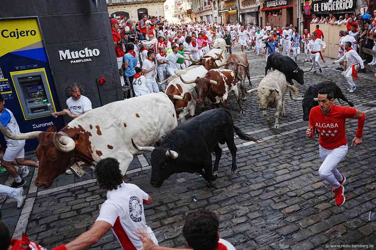 Fünf Verletzte bei umstrittener Stierhatz in Pamplona