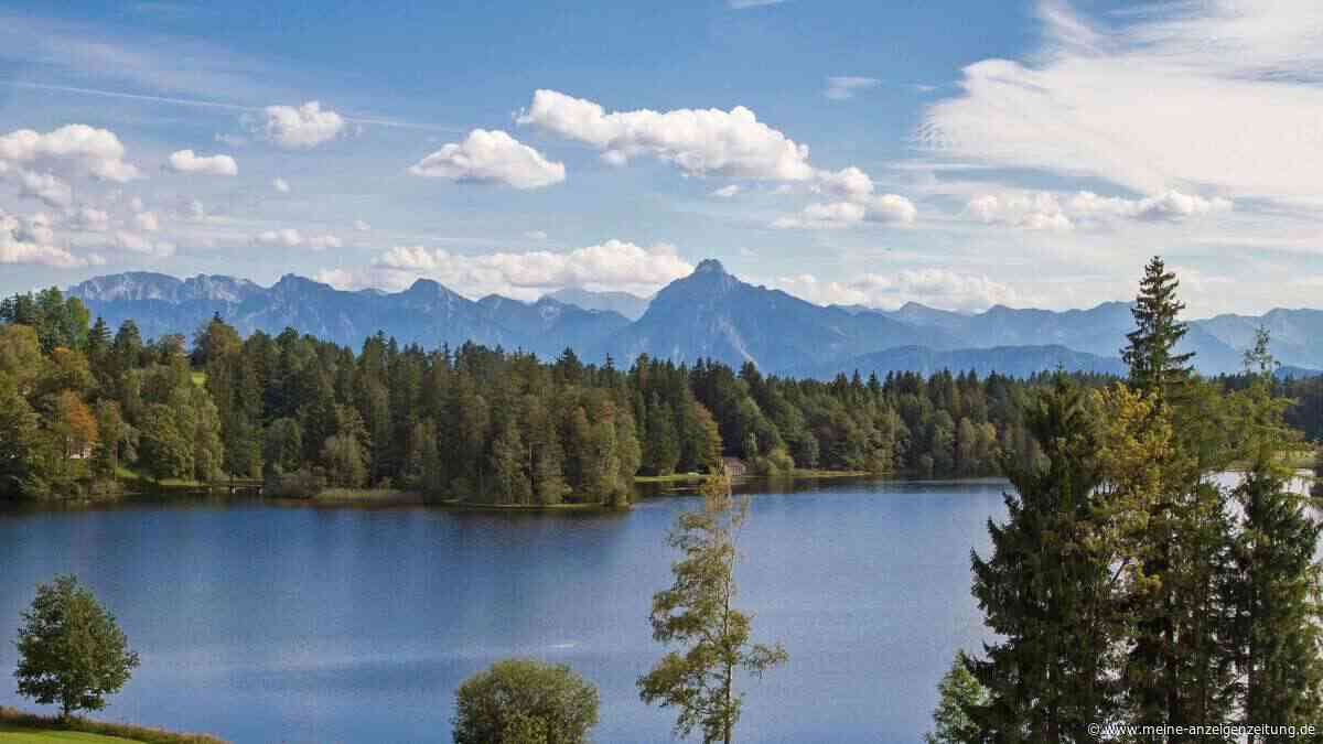 Badeunglück im Schwaltenweiher: 76-Jähriger leblos geborgen