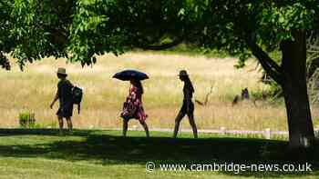 Heat health alert upgraded in Cambs as temperatures to hit 32C
