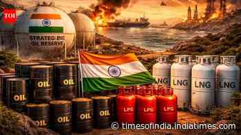 India's strategic gas storage: LNG buffer mandate for terminals in the works - what it means
