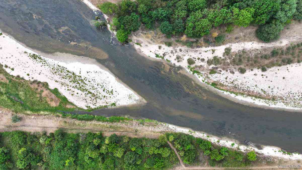 Jedes Grad macht es schlimmer: Was hohe Temperaturen in Deutschlands Flüssen anrichten