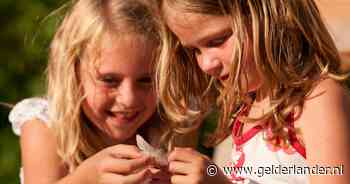 Natuurbelevingstocht voor kinderen bij Veluwezoom