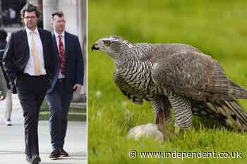 Reality star loses £500k court appeal over deaths of neighbours’ prize falcons