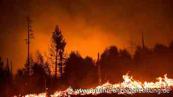Waldbrand am Urlaubsort: Diese Rechte haben Sie