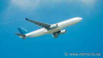 Woman plunged to death in brutal plane crash after changing flight at last minute