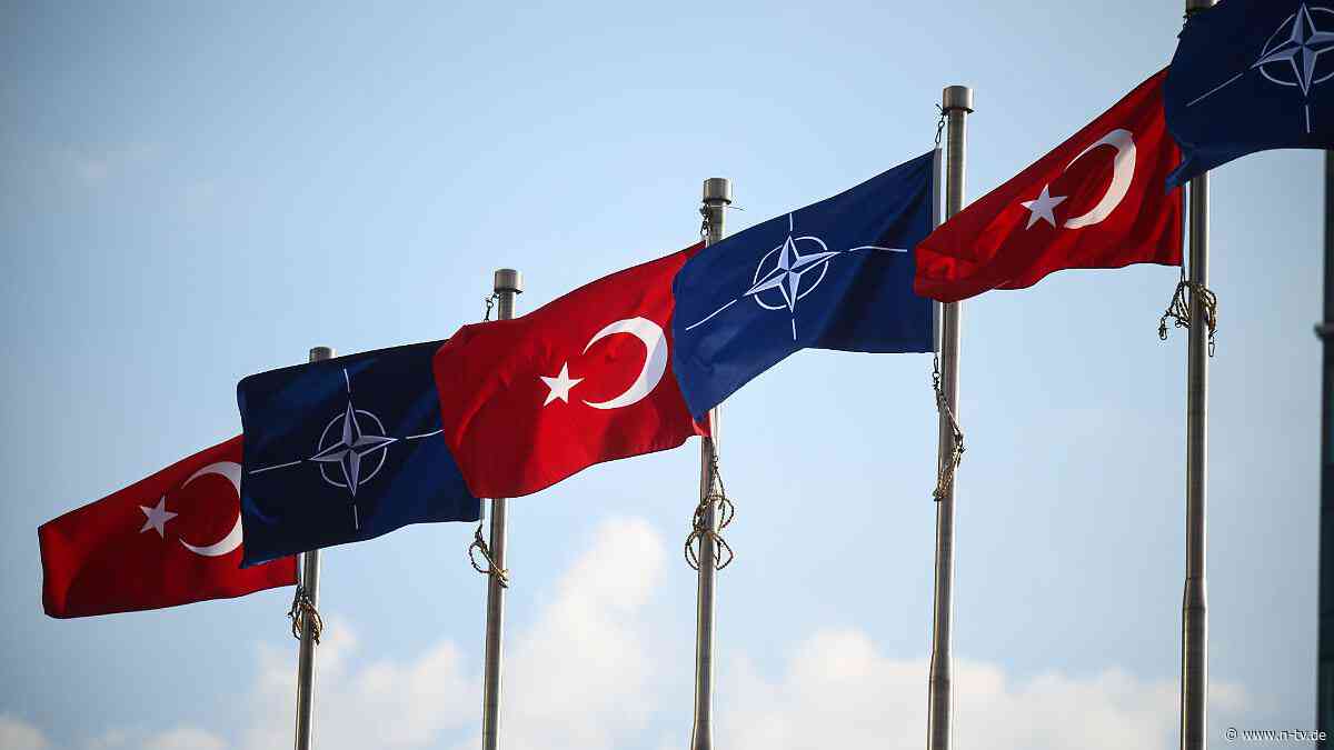 Zeigt sich Trump nachtragend?: Was der Nato-Gipfel in Ankara bringen könnte