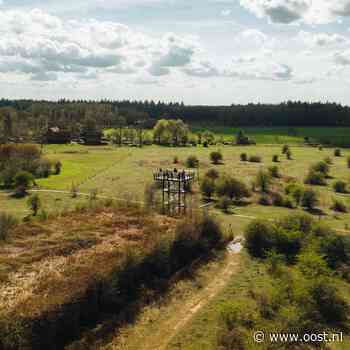 Staatsbosbeheer haalt trekpontje uit de vaart: strop voor populaire wandelroute