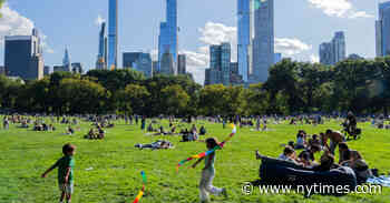 New York City Travel Guide: What to See, Visit and Do