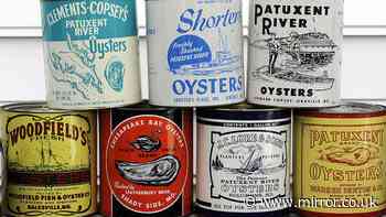 'I opened 50-year-old can of oysters and was floored when I looked inside'
