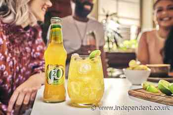 Drinks giant in High Court battle wth clamping cabin owners over ‘flagrant’ copyright infringement