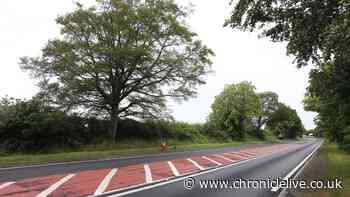 One person taken to hospital following three-vehicle collision on A1 in Northumberland
