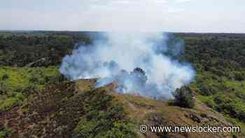 LIVE | Forse natuurbrand op Texel, extra brandweerlieden van het vasteland opgeroepen