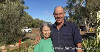 Pingelly producers' last-minute decision breaks WA Merino wether lamb record