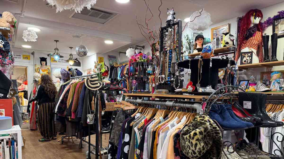 'I visited five charity shops in a day for home basics and discovered huge problem'