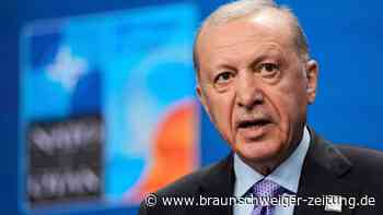 Die Nato zu Gast bei Erdogan: Jetzt hilft nur Augen zu und durch