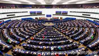 EU-Parlament stimmt für Verfahren gegen AfD-Parteifamilie