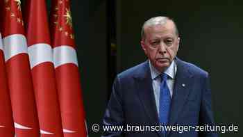 Erdoğans neue Stärke: So gnadenlos demonstriert er zum Nato-Gipfel seine Macht