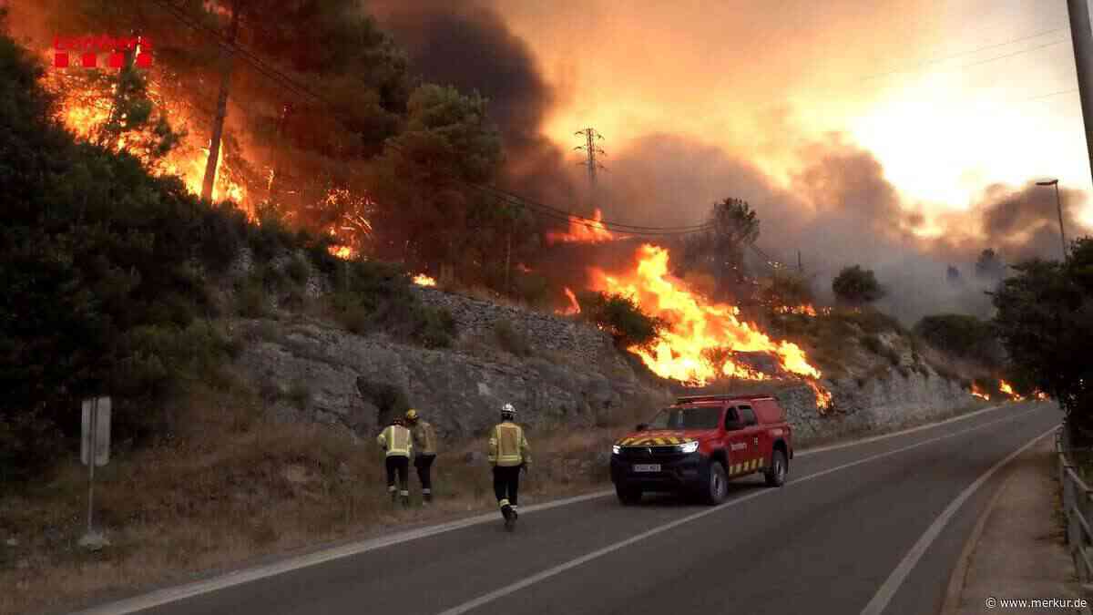 Hunderte Feuerwehrleute kämpfen in Katalonien gegen Waldbrände – Ermittlungen gegen Verdächtigen laufen