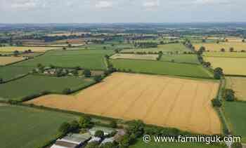 Suffolk council moves to protect 12,000 acres of county farms