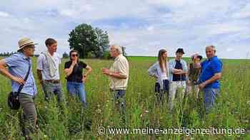 Landschaftspflegeverband verwandelt Maisacker in artenreiche Wiese