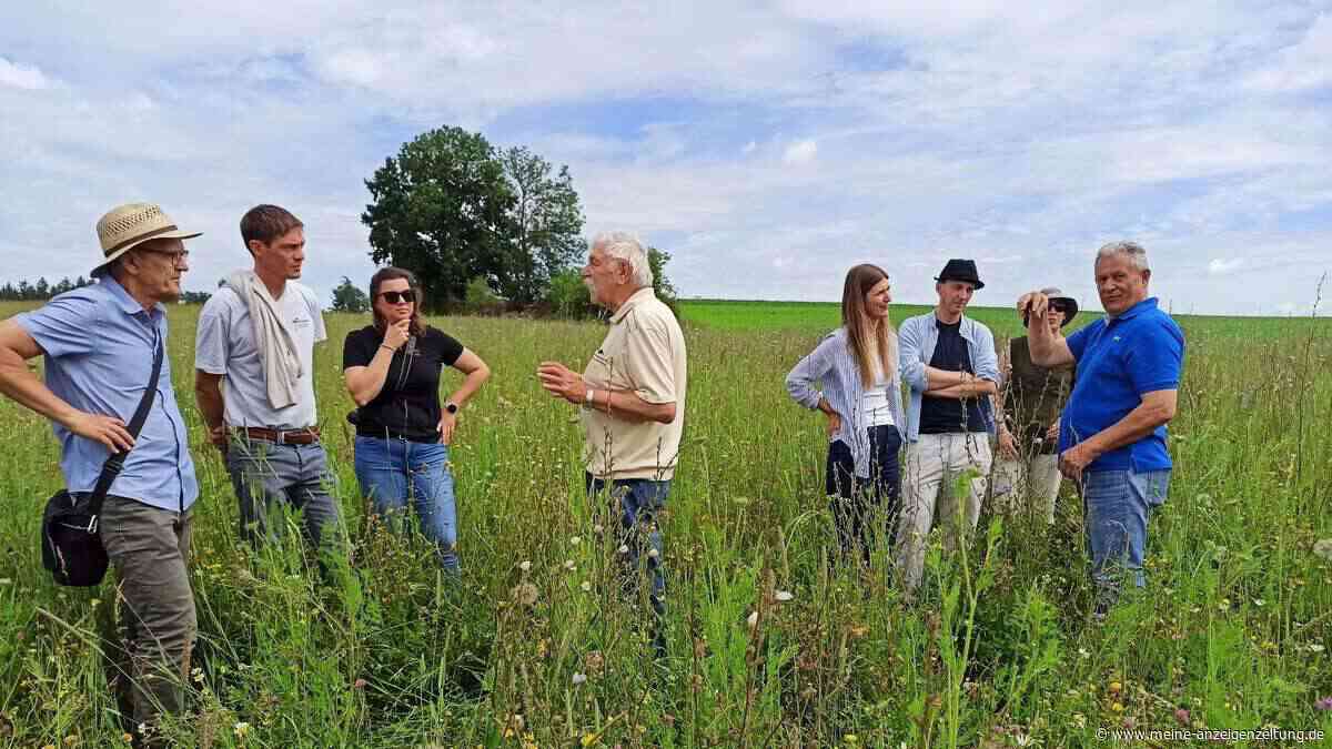Landschaftspflegeverband verwandelt Maisacker in artenreiche Wiese