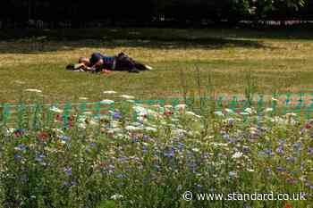 When will it rain again in London? Hosepipe ban fears grow in the capital