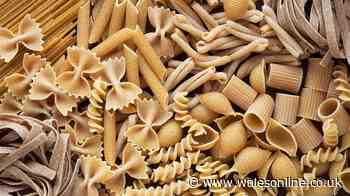 Major differences between white and brown pasta — link to heart risks explained