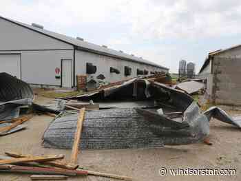 'It hit hard' — Essex County residents recover after powerful storm tears through region