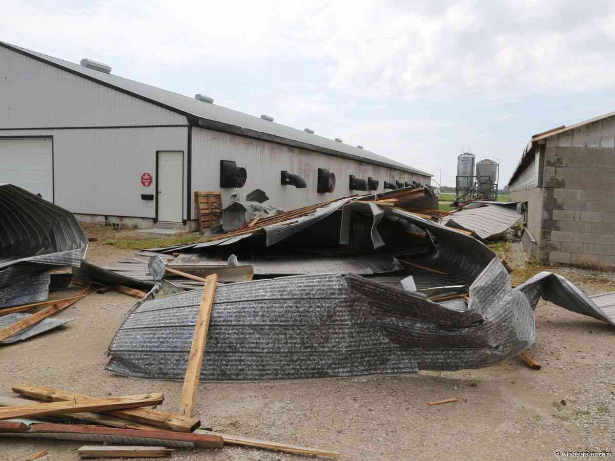 'It hit hard' — Essex County residents recover after powerful storm tears through region