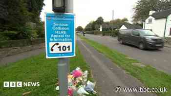 Former chief inspector admits causing crash death