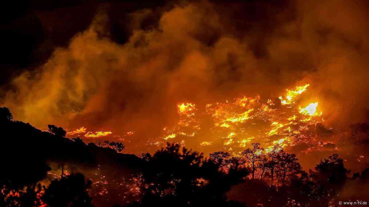 Reisen in Gefahr: Waldbrand am Urlaubsort: Diese Rechte hat man