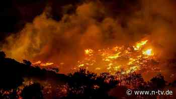 Reisen in Gefahr: Waldbrand am Urlaubsort: Diese Rechte hat man