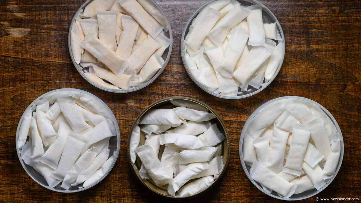 OPROEP: Gebruik(te) jij snus? Of maakt jouw kind er gebruik van?