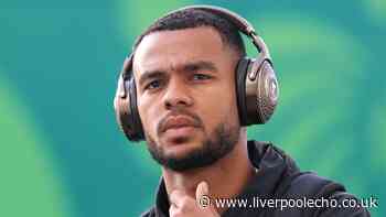 Cody Gakpo transfer dismissed as 'improved' Florian Wirtz given Liverpool backing