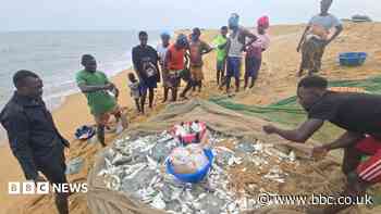 The African fishermen who blame Chinese trawlers for their woes