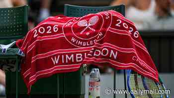 Wimbledon fans left scrambling while players pocket its iconic towels as tournament faces 'shrinkflation' accusations after 'disappointing' strawberries and cream servings
