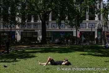 Lost sleep, wasted food, and hot offices: The true impact of heatwaves on Britons