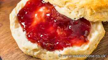I'm a baker - I only use 1 scone recipe for the perfect rise