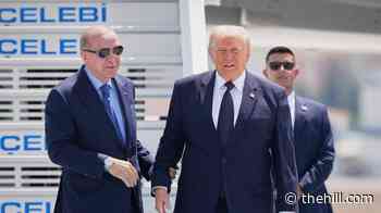 Trump touches down in Turkey for NATO summit