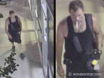 Windsor police seek help in identifying van theft suspect