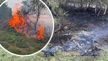 Fire near Captain Cook’s Monument prompts campfires and gas stoves warning