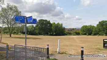Missing girl, 15, found in Worcester park as boy, 16, arrested over 'rape'